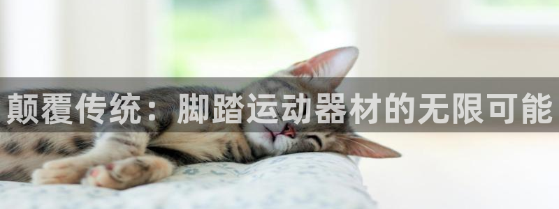 球客岛官方正版app娱乐代理怎么样:颠覆传统:脚踏运动器材的